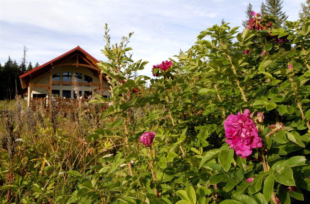 Heather Mountain Lodge Rogers Pass Exterior foto